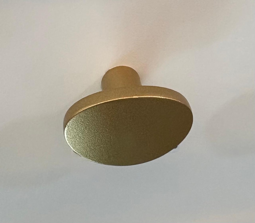 PUX BEETLE DOURADO MATTE ZP5403.955