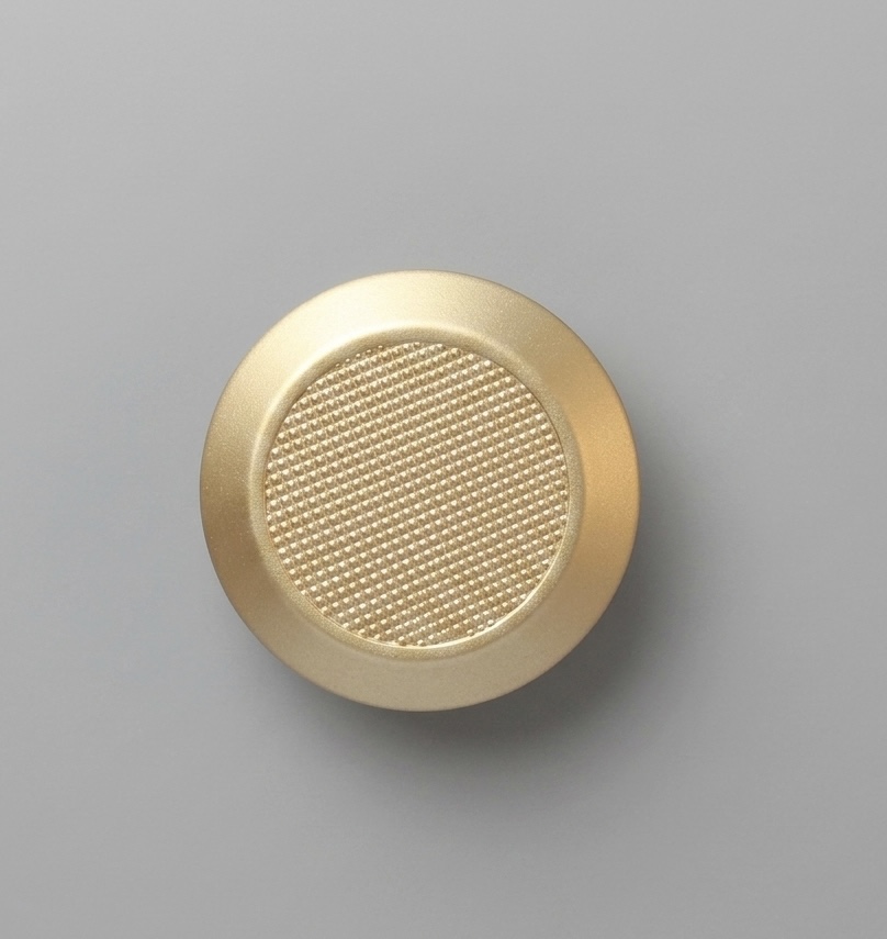 PUX DISK P DOURADO MATTE ZP5473.955